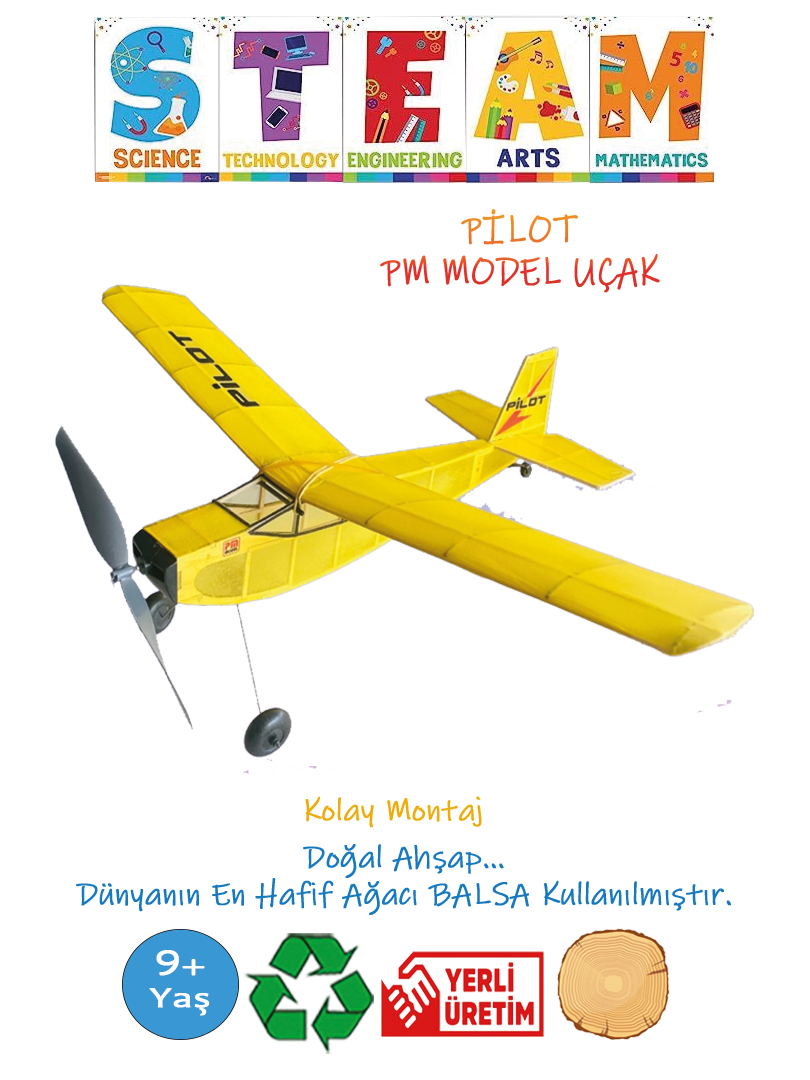 PİLOT PM MODEL UÇAK