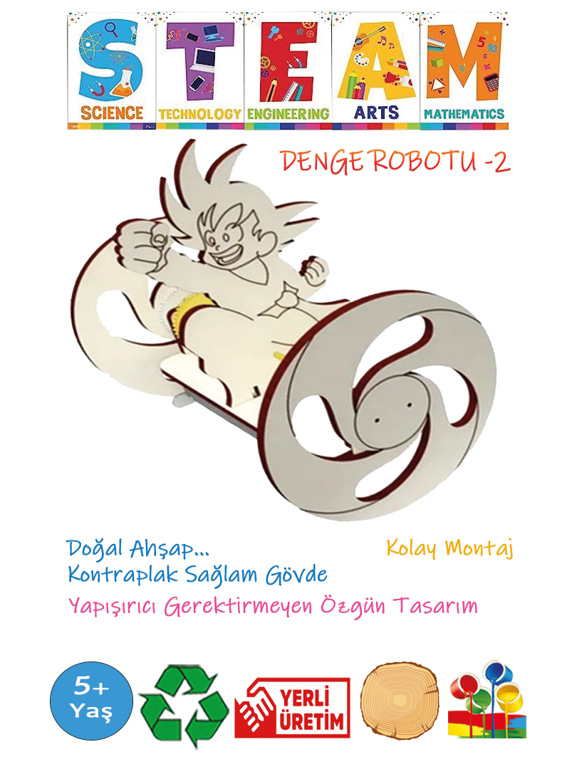 DENGE ROBOTU -2