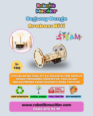 DENGE ROBOTU