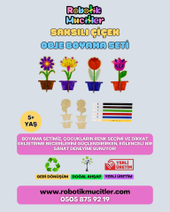 OBJE BOYAMA Saksı